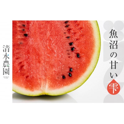 2024年7月中旬発送　野菜ソムリエサミット金賞「清水農園の特別栽培大玉スイカ」　