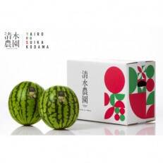 2023年7月下旬発送予定　野菜ソムリエサミット銀賞受賞　八色産小玉スイカ　清水農園の小玉スイカ