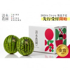 2024年7月中旬から発送予定　野菜ソムリエサミット金賞　「清水農園の小玉スイカ」 | ふるさと納税のお礼品