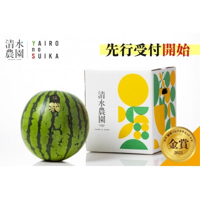 2025年7月下旬から発送予定　野菜ソムリエサミット金賞受賞「清水農園の八色産金色羅皇」