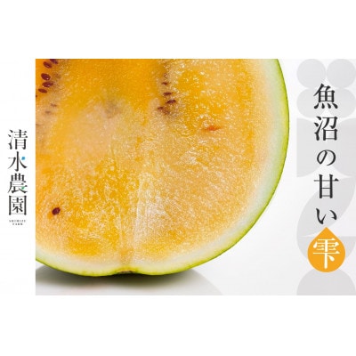 2025年7月下旬から発送予定　野菜ソムリエサミット金賞受賞「清水農園の八色産金色羅皇」