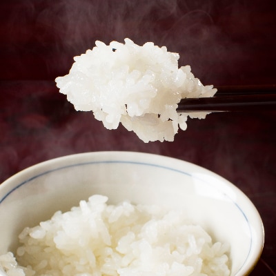 【令和6年産】【厳選】魚沼産コシヒカリ(玄米5kg×2)