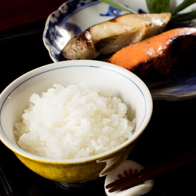 【令和6年産】【厳選】魚沼産コシヒカリ(玄米5kg×2)