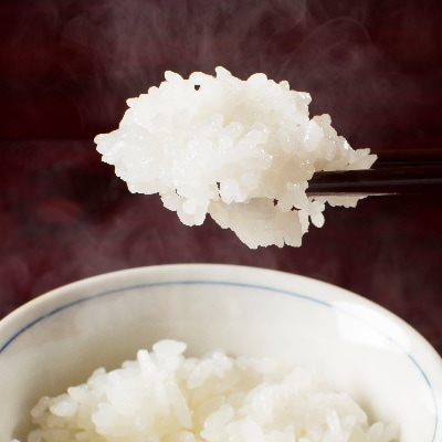 【令和6年産】【厳選】魚沼産コシヒカリ(玄米5kg)×4袋