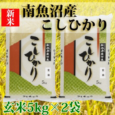 【毎月定期便】南魚沼産コシヒカリ「Sun](玄米5kg×2袋)全9回