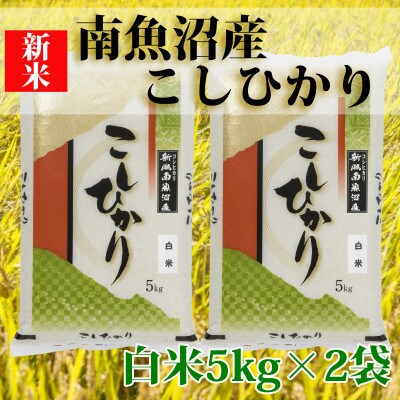 【毎月定期便】南魚沼産コシヒカリ「Sun](精米5kg×2袋)全9回