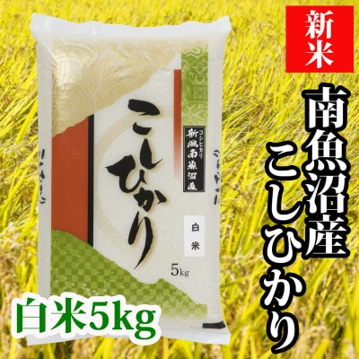 【毎月定期便】南魚沼産コシヒカリ「Sun](精米5kg)全6回