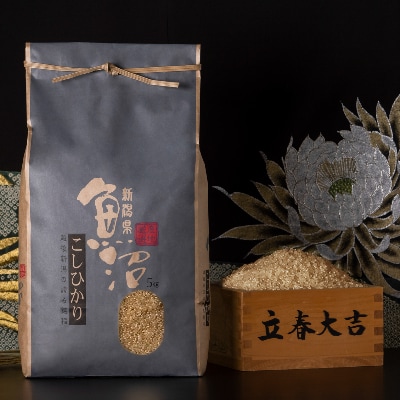 【毎月定期便】【厳選】魚沼産コシヒカリ(玄米5kg)全6回