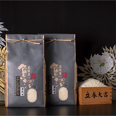 2022年4月発送開始『定期便』【厳選】魚沼産コシヒカリ(無洗米5kg×2) 全12回