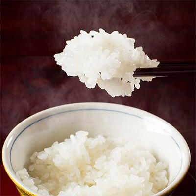 2022年4月発送開始『定期便』【厳選】魚沼産コシヒカリ(無洗米5kg×2) 全12回