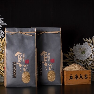2023年1月発送開始『定期便』【厳選】魚沼産コシヒカリ(玄米5kg×2) 全12回