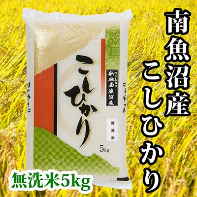2023年5月発送開始『定期便』南魚沼産コシヒカリ「Sun」無洗米5kg全12回