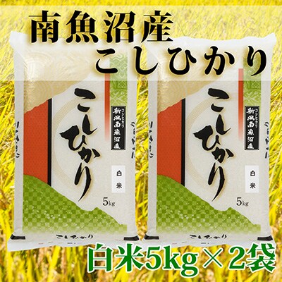 2023年6月発送開始『定期便』南魚沼産コシヒカリ「Sun」精米5kg×2袋全6回