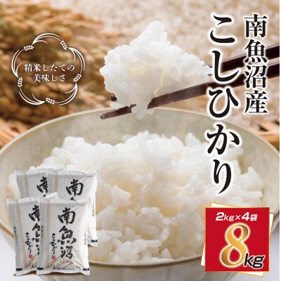 新潟県 南魚沼産 コシヒカリ お米 2kg ×4個 こしひかり 計8kg (美味しい炊き方ガイド付)