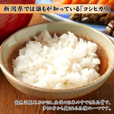 新潟県 南魚沼産 コシヒカリ お米 2kg ×2個 計4kg &南魚沼こだわり醤油300cc×2本付