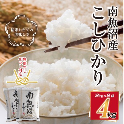 【2023年4月上旬発送】無地熨斗 南魚沼産 コシヒカリ 2kg×2個 こしひかり 炊き方ガイド付