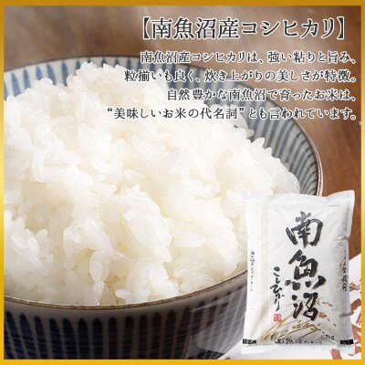 【2023年4月上旬発送】無地熨斗 南魚沼産 コシヒカリ 2kg×2個 こしひかり 炊き方ガイド付
