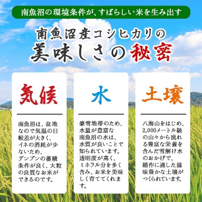 【2023年4月上旬発送】無地熨斗 南魚沼産 コシヒカリ 2kg×2個 こしひかり 炊き方ガイド付