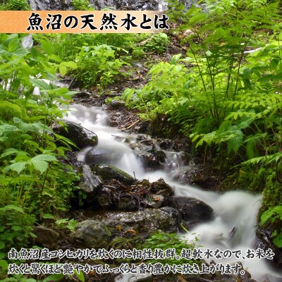 【2023年2月中旬発送】無地熨斗 南魚沼産コシヒカリ2kg×2個&南魚沼 天然水2L×2本