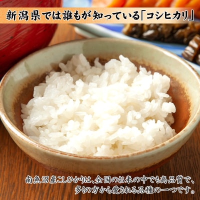 【2023年2月中旬発送】無地熨斗 南魚沼産コシヒカリ2kg×2個&和牛すじカレー200g 4食