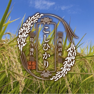 南魚沼産 コシヒカリ 玄米 2kg×2袋 こしひかり 新潟県 米 玄米食  普通に炊ける