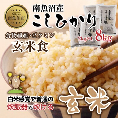 南魚沼産 コシヒカリ 玄米 2kg×4袋 こしひかり 新潟県 米 玄米食  普通に炊ける