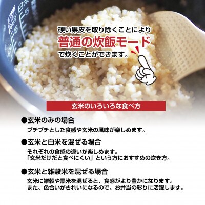 南魚沼産 コシヒカリ 玄米 2kg×4袋 こしひかり 新潟県 米 玄米食  普通に炊ける