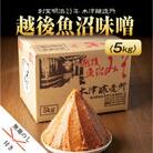無地熨斗 新潟県 南魚沼産 越後魚沼味噌 大容量 業務用 5kg 箱 木津醸造所