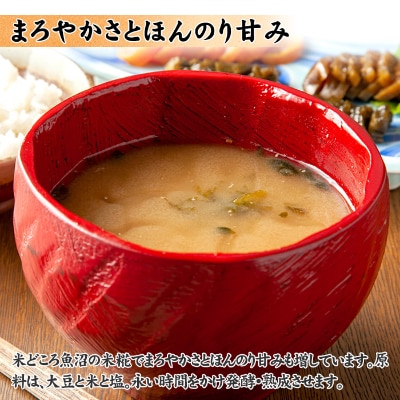 無地熨斗 新潟県 南魚沼産 越後魚沼味噌 大容量 業務用 5kg 箱 木津醸造所
