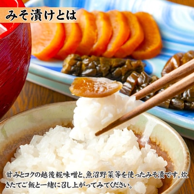 無地熨斗 新潟県 南魚沼産 こだわり厳選 味噌&みそ漬け お試し食べ比べセット