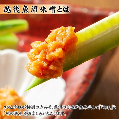 【無地のし】 新潟県 南魚沼産 こだわり味噌2kg & 越後魚沼味噌2kg 木津醸造所 食べ比べ