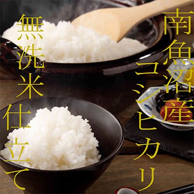 【毎月定期便】《吟精 無洗米》南魚沼産コシヒカリ10kg全9回