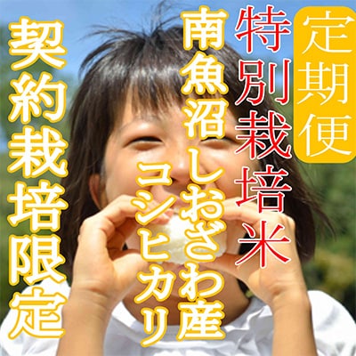 【毎月定期便】※特別栽培米15Kg※生産者限定 南魚沼しおざわ産コシヒカリ 全9回