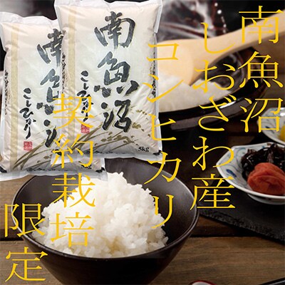 【毎月定期便】契約栽培限定 南魚沼しおざわ産コシヒカリ 精米10Kg 全9回