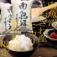 yցz_͔| 싛YRVqJ 10Kg S12