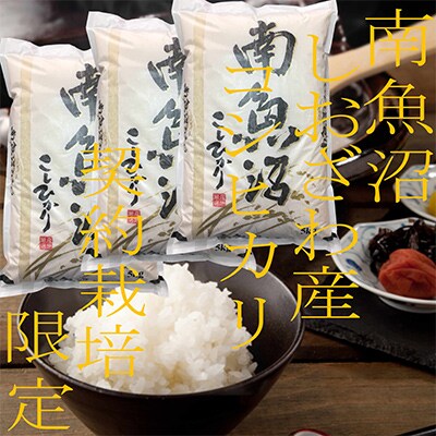【毎月定期便】契約栽培限定 南魚沼しおざわ産コシヒカリ 精米15Kg 全9回