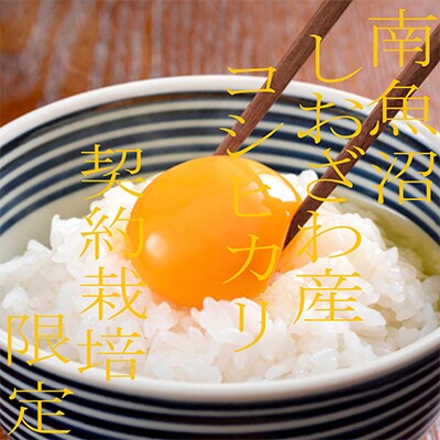 【毎月定期便】契約栽培限定 南魚沼しおざわ産コシヒカリ 精米20Kg 全3回