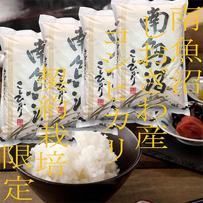 【毎月定期便】契約栽培限定 南魚沼しおざわ産コシヒカリ 精米20Kg 全6回