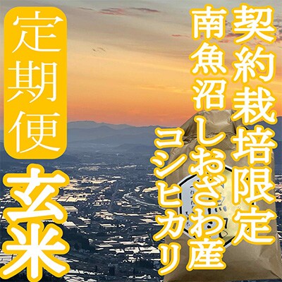 【毎月定期便】※玄米10Kg※生産者限定　南魚沼しおざわ産コシヒカリ全6回