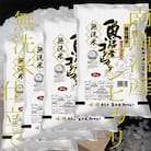 【発送月固定定期便】《吟精 無洗米》南魚沼産コシヒカリ6kg全3回