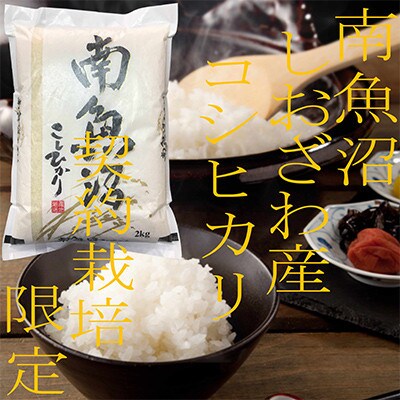 【発送月固定定期便】契約栽培限定 南魚沼しおざわ産コシヒカリ精米10Kg全3回