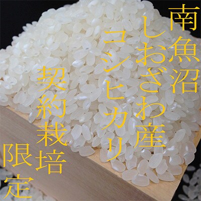 【発送月固定定期便】契約栽培限定 南魚沼しおざわ産コシヒカリ精米20Kg全3回
