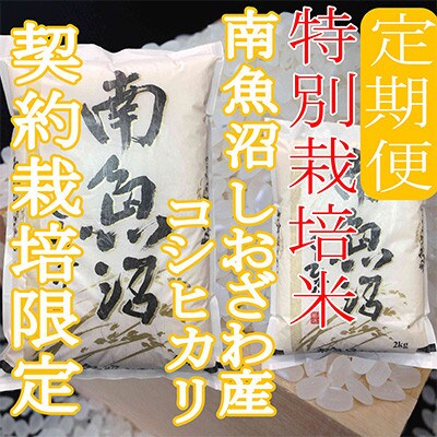 【発送月固定定期便】※特別栽培米2Kg※生産者限定 南魚沼しおざわ産コシヒカリ全3回