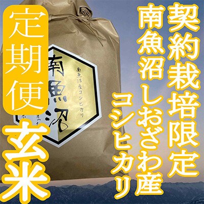 【発送月固定定期便】※玄米6Kg※生産者限定　南魚沼しおざわ産コシヒカリ全3回