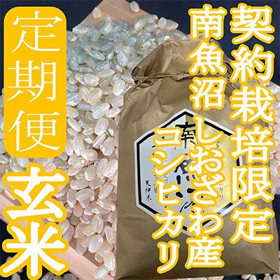 【発送月固定定期便】※玄米6Kg※生産者限定　南魚沼しおざわ産コシヒカリ全3回