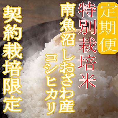 【発送月固定定期便】※特別栽培米5Kg※生産者限定 南魚沼しおざわ産コシヒカリ全3回