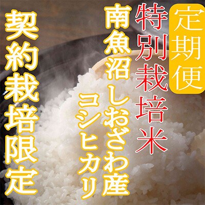 【発送月固定定期便】※特別栽培米15Kg※生産者限定 南魚沼しおざわ産コシヒカリ全3回