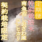 【発送月固定定期便】※特別栽培米5Kg※生産者限定 南魚沼しおざわ産コシヒカリ全6回