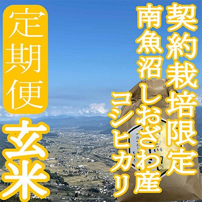 【発送月固定定期便】※玄米10Kg※生産者限定　南魚沼しおざわ産コシヒカリ全6回