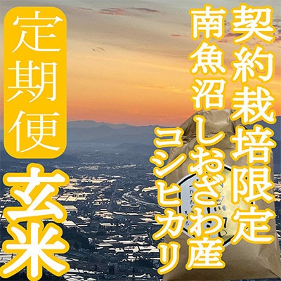 【発送月固定定期便】※玄米10Kg※生産者限定　南魚沼しおざわ産コシヒカリ全6回